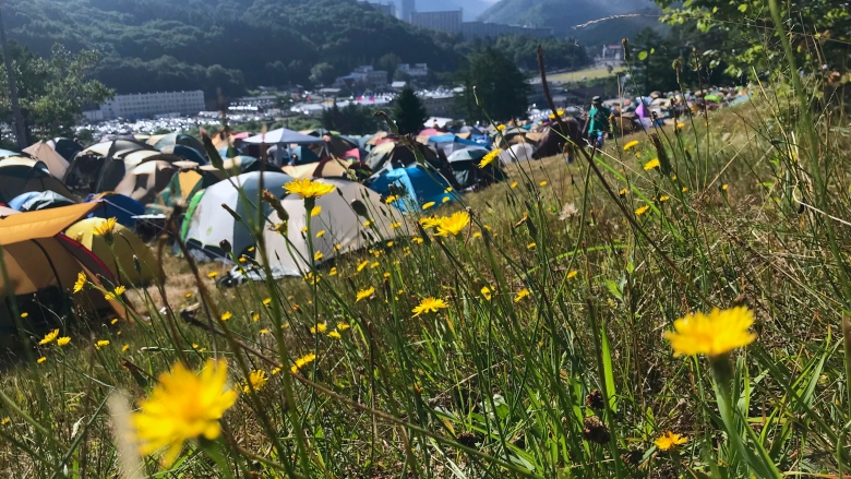 フジロックキャンプの持ち物